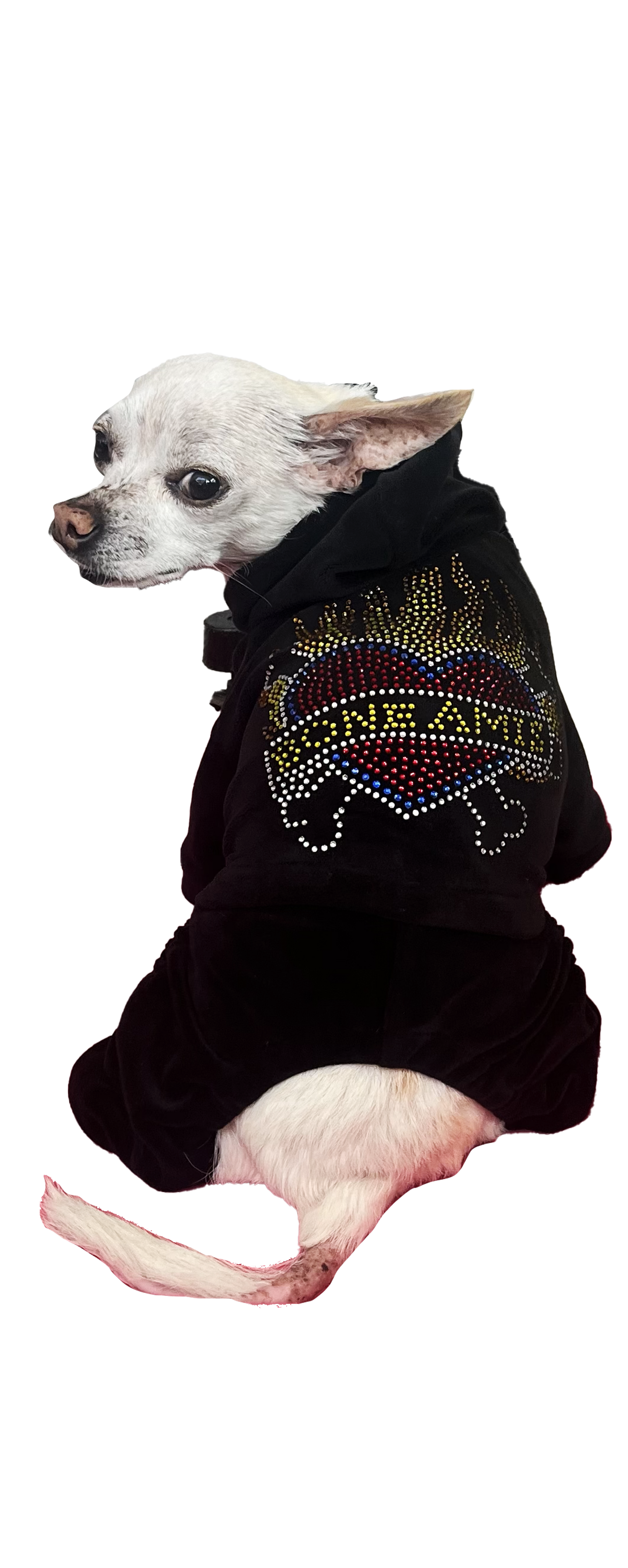 The BONE AMIS Dog Tracksuit- Black