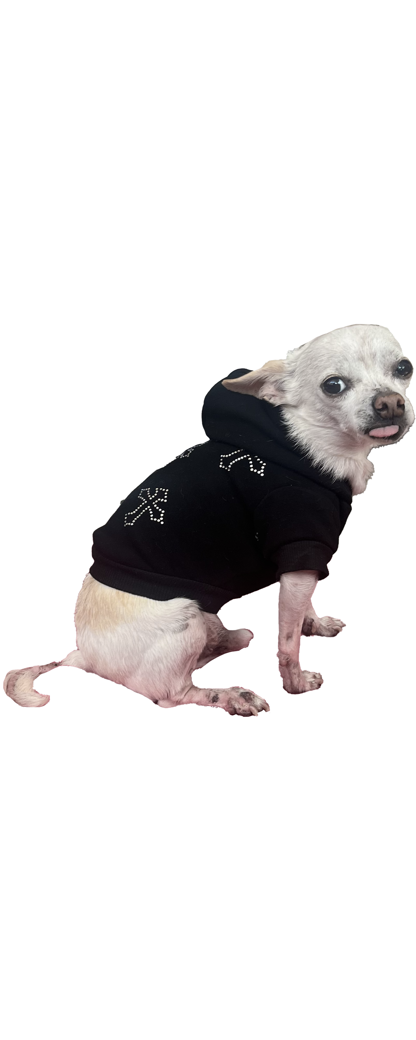 Cross Sweatshirt- Dog