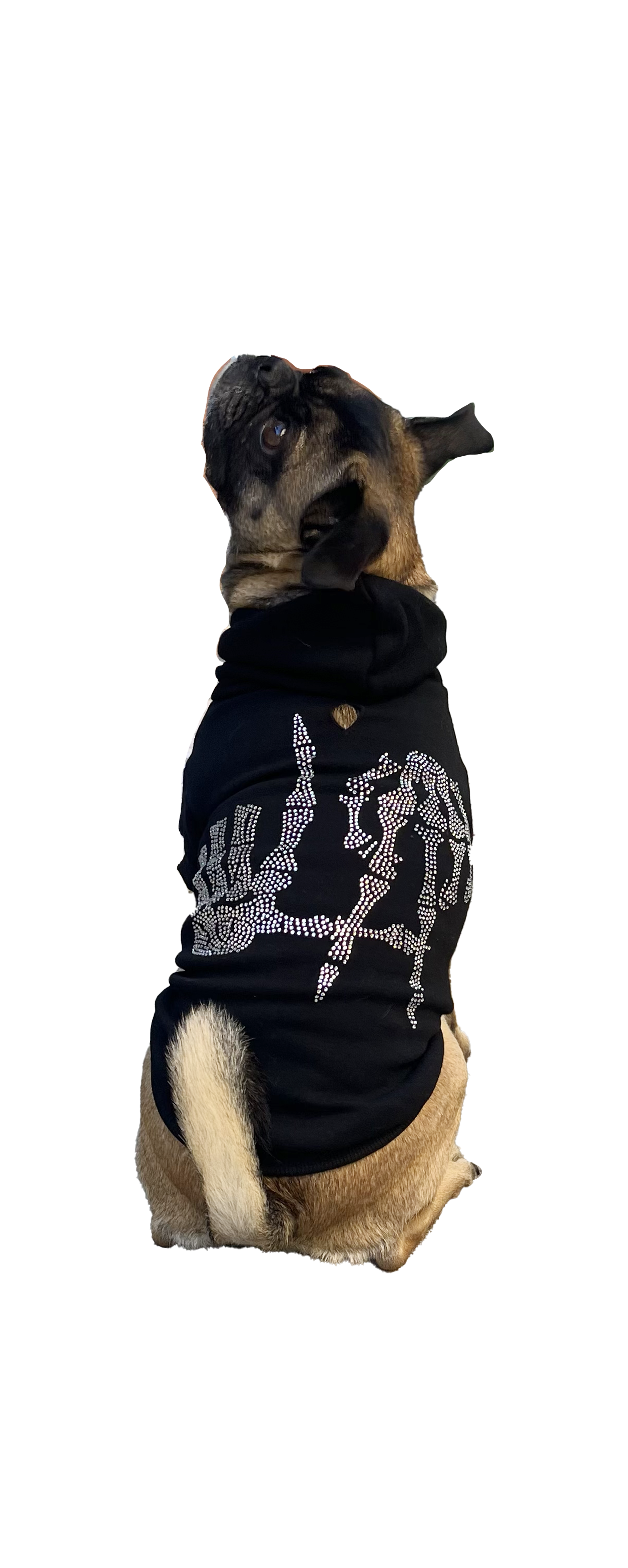 LA Skeleton Sweatshirt- Dog - Main Image