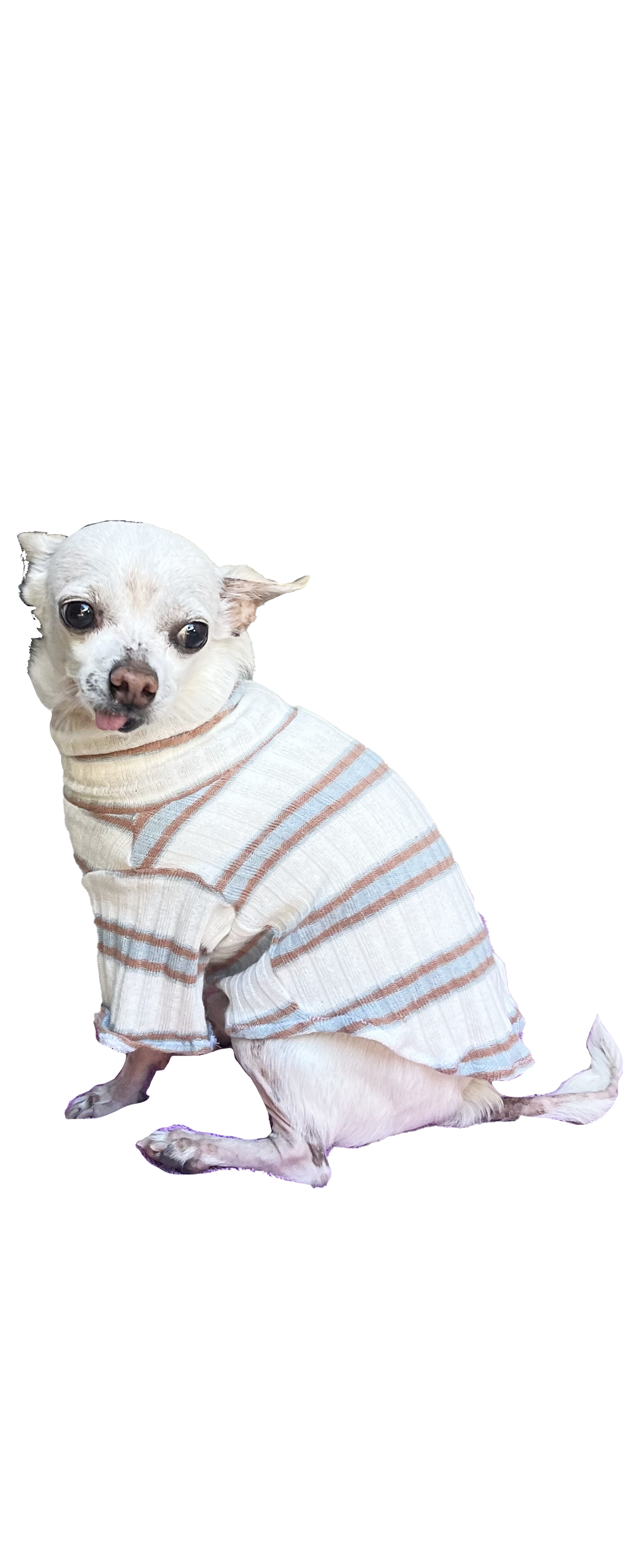 Sadie Dog Sweater
