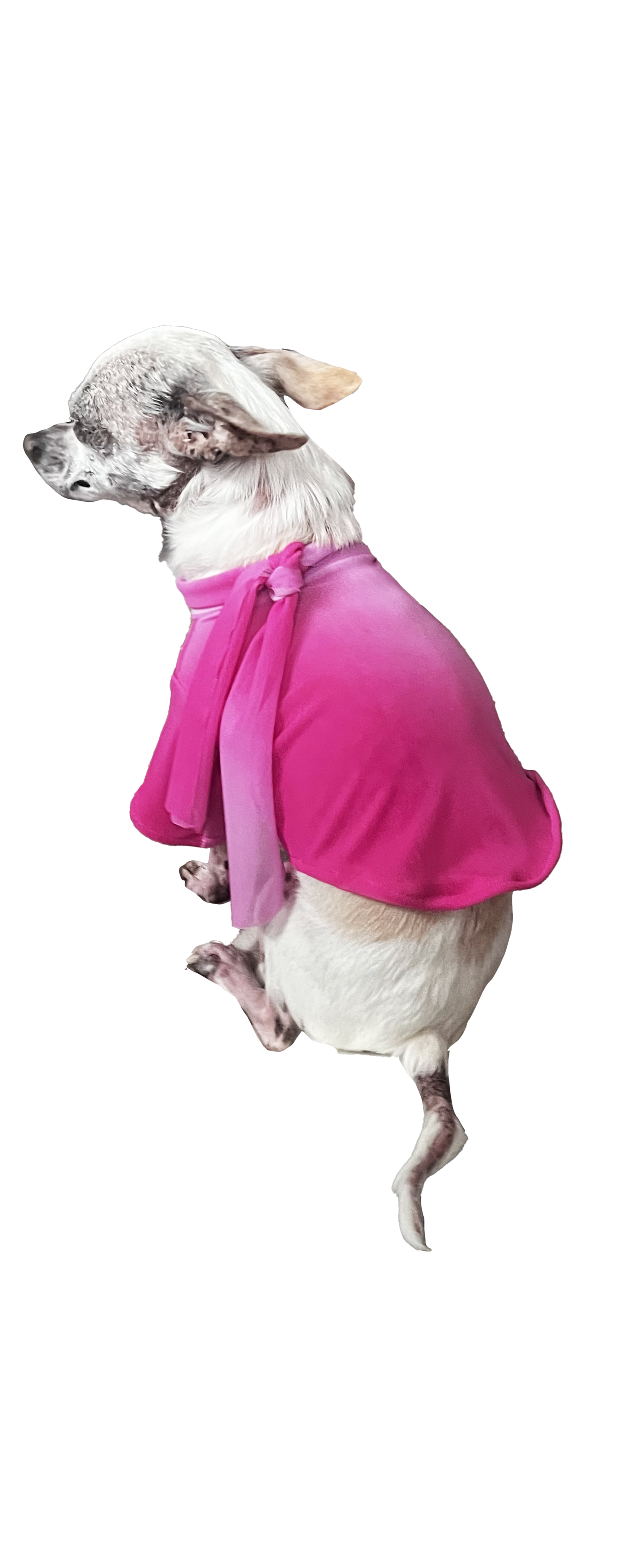 BELLA  DOG TEE + SCARF - Pink