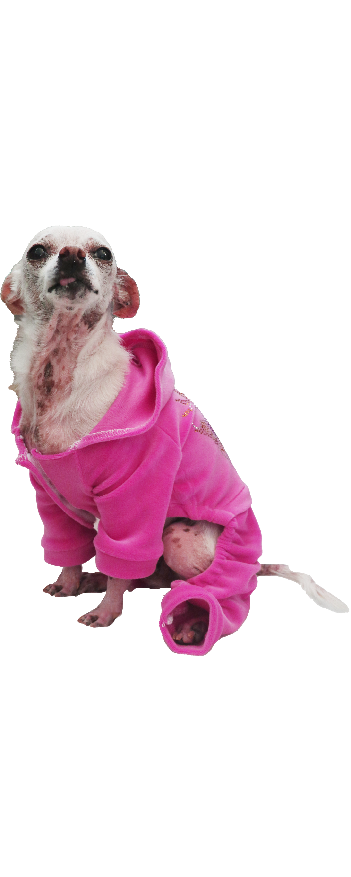 The BONE AMIS Dog Tracksuit- Pink