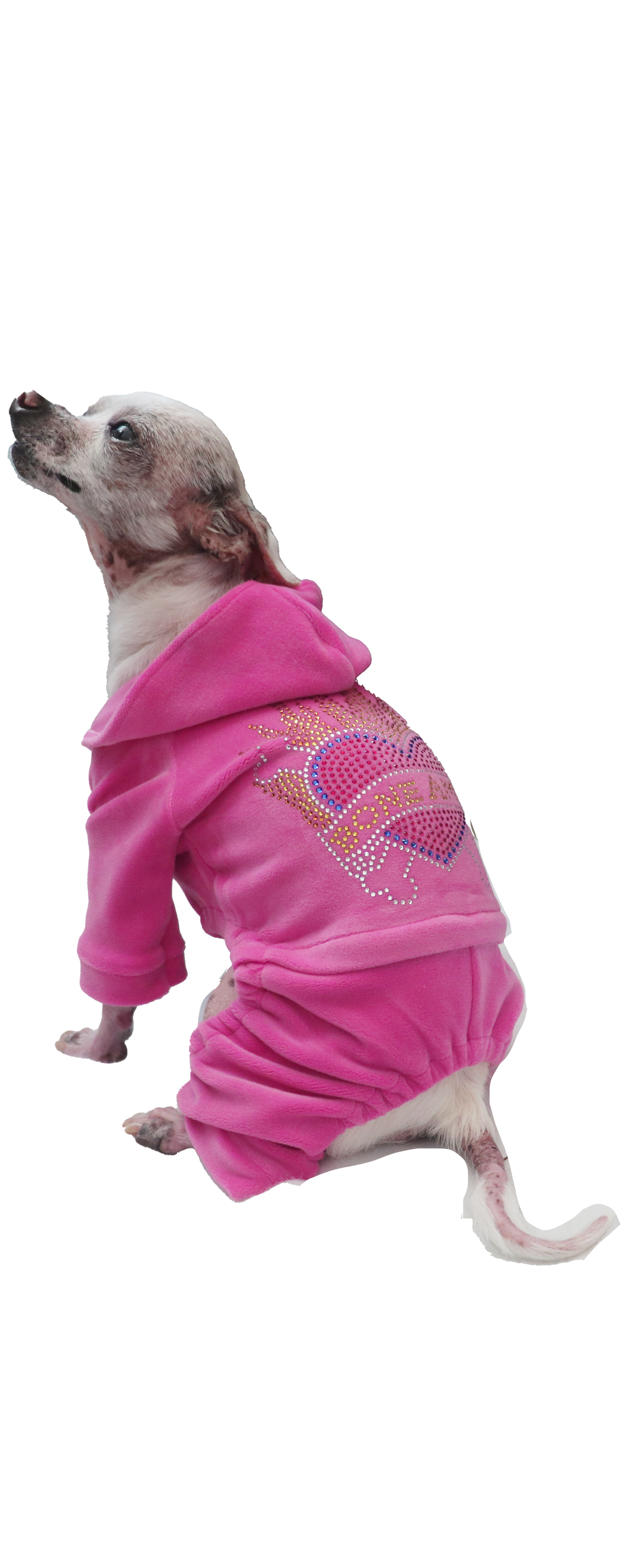 The BONE AMIS Dog Tracksuit Pink
