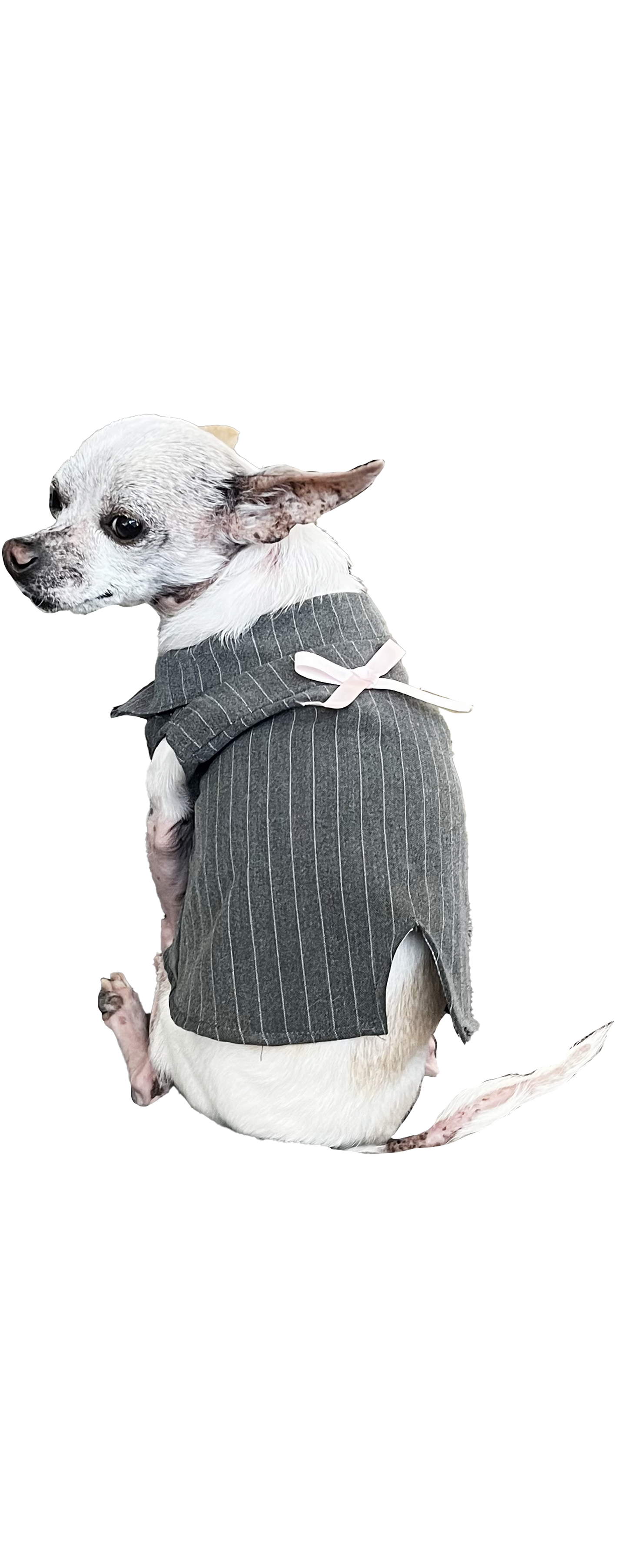 ROXIE DOG VEST- Pinstripe