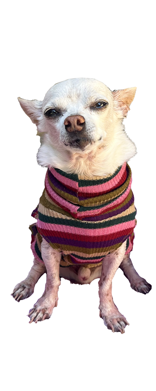 ZOEY dog sweater