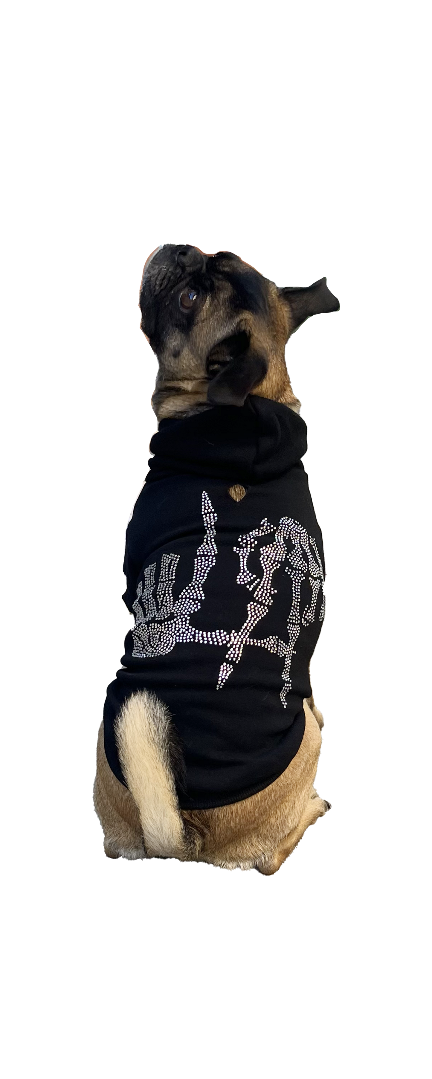LA Skeleton Sweatshirt- Dog