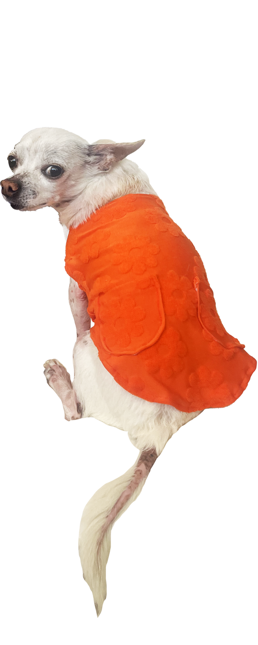 DAISY DOG TANK - orange
