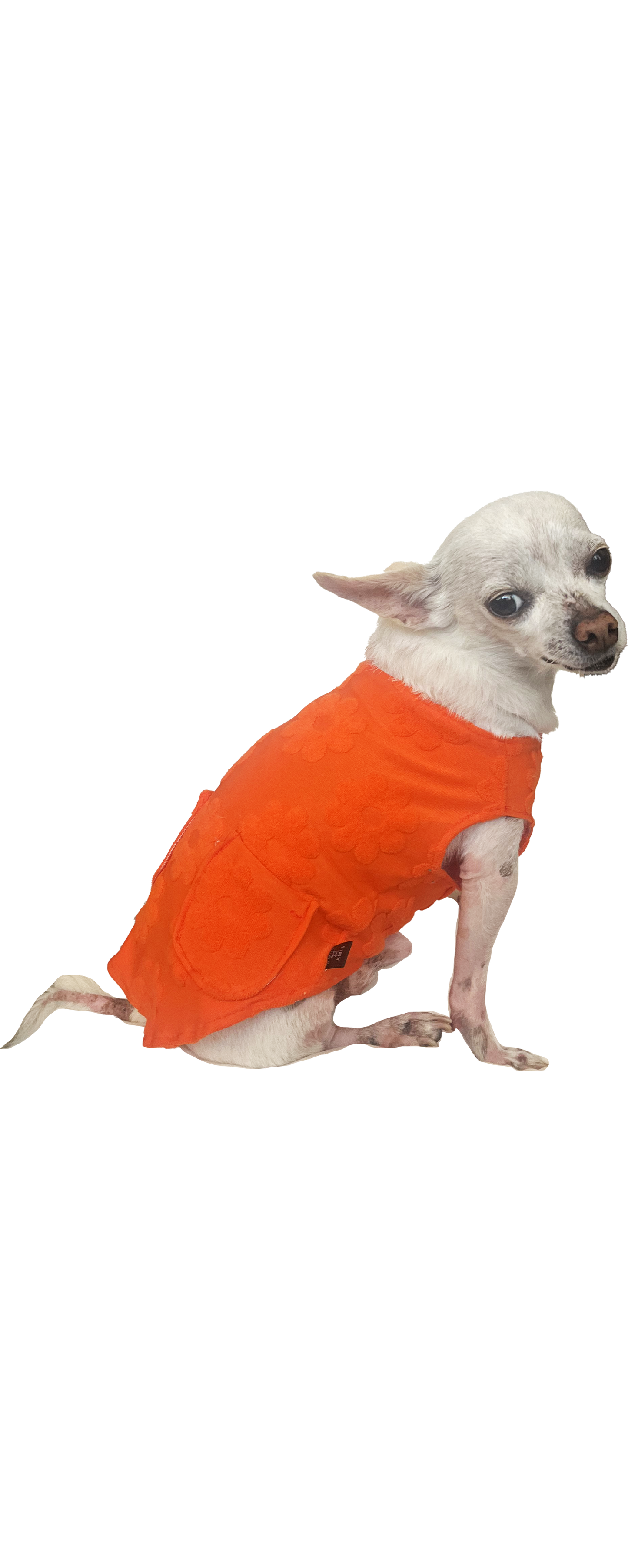 DAISY DOG TANK - orange