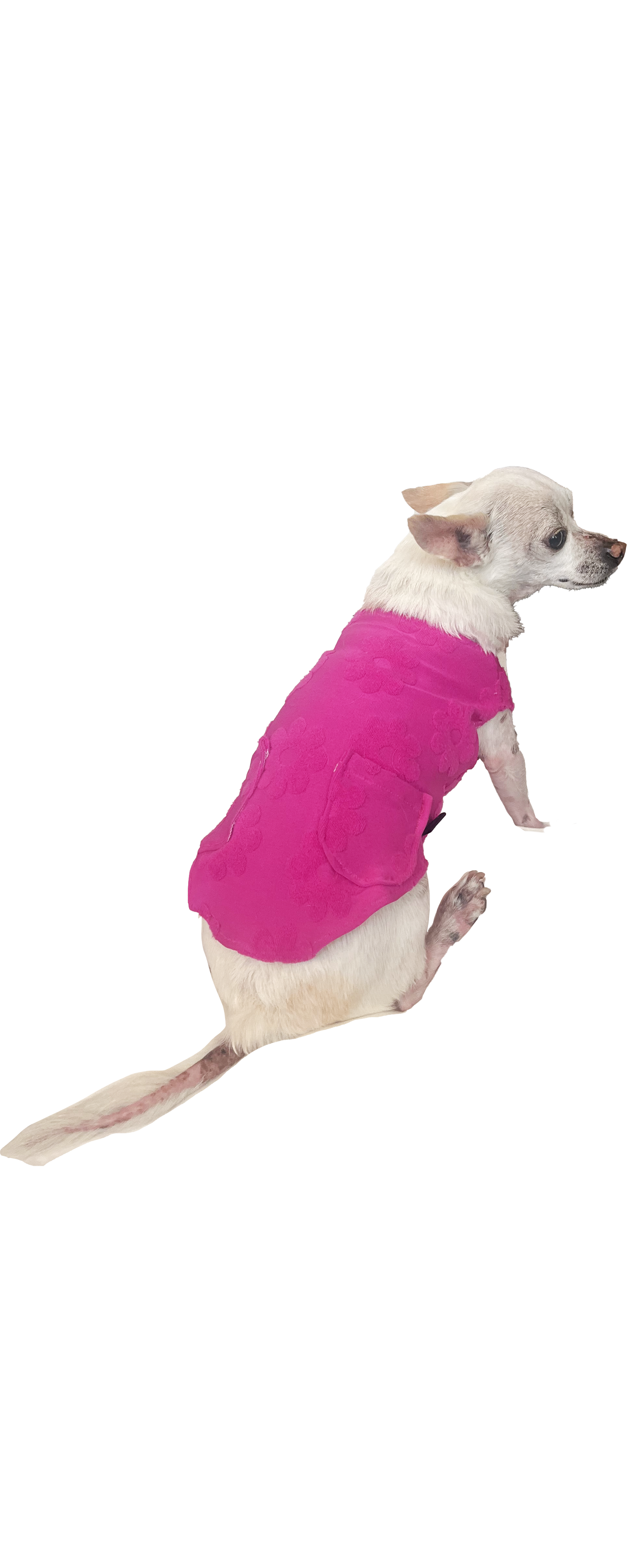 DAISY DOG TANK - pink