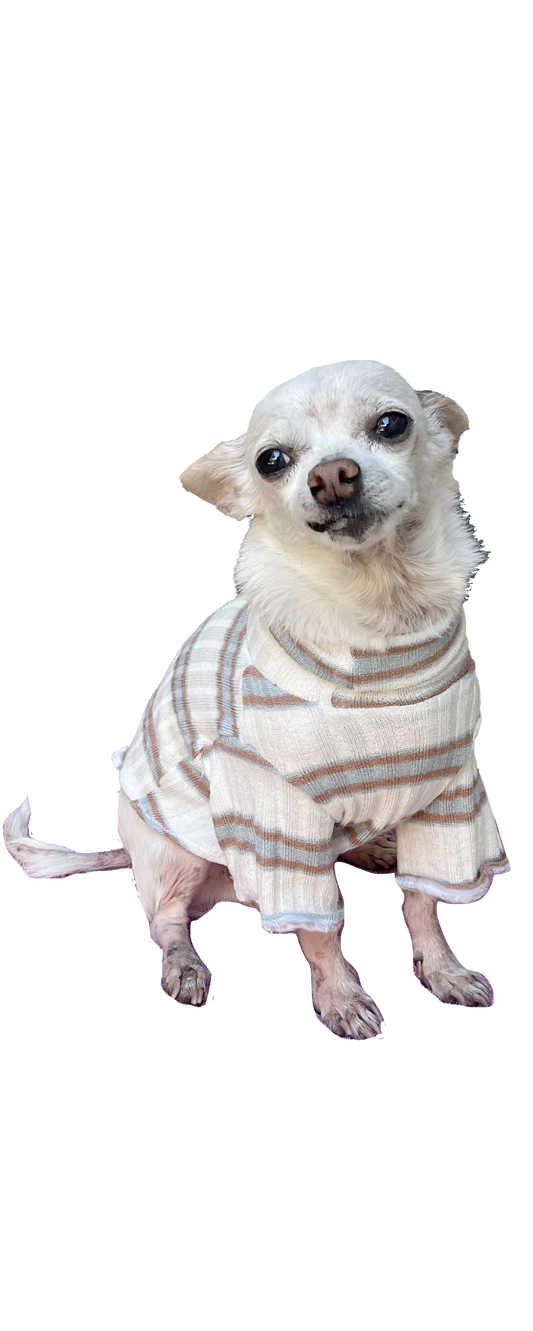 Sadie Dog Sweater