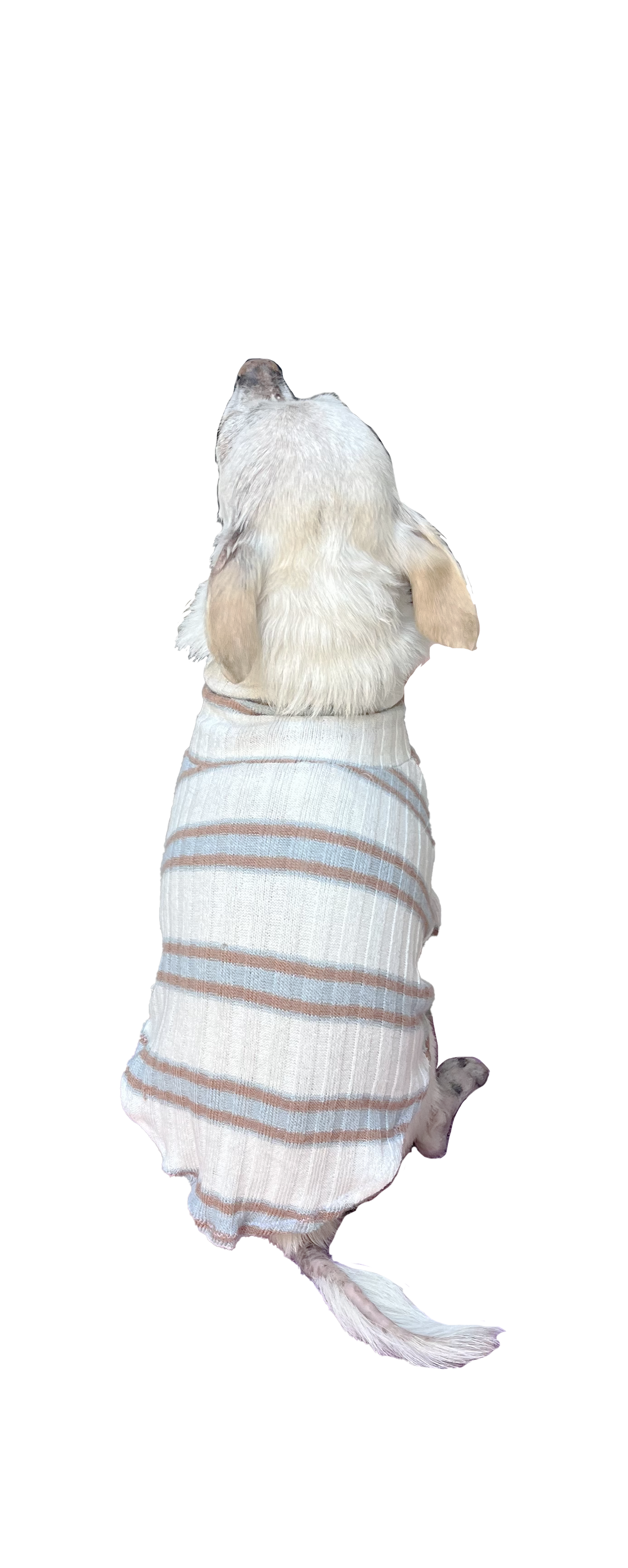 Sadie Dog Sweater