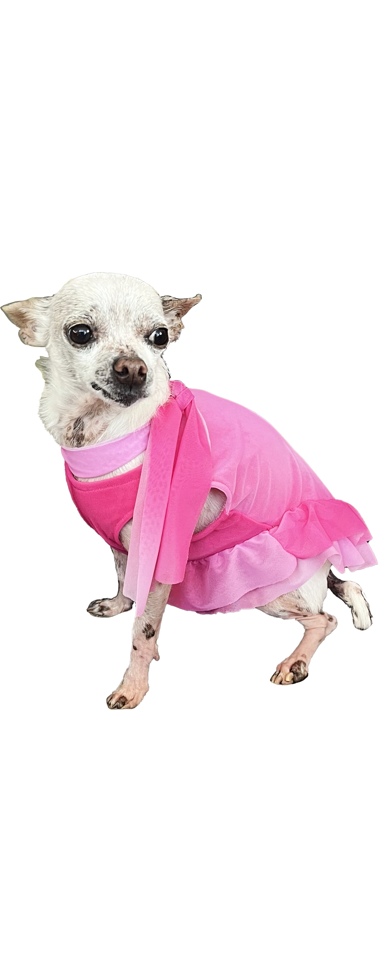 BELLA DOG DRESS- Pink