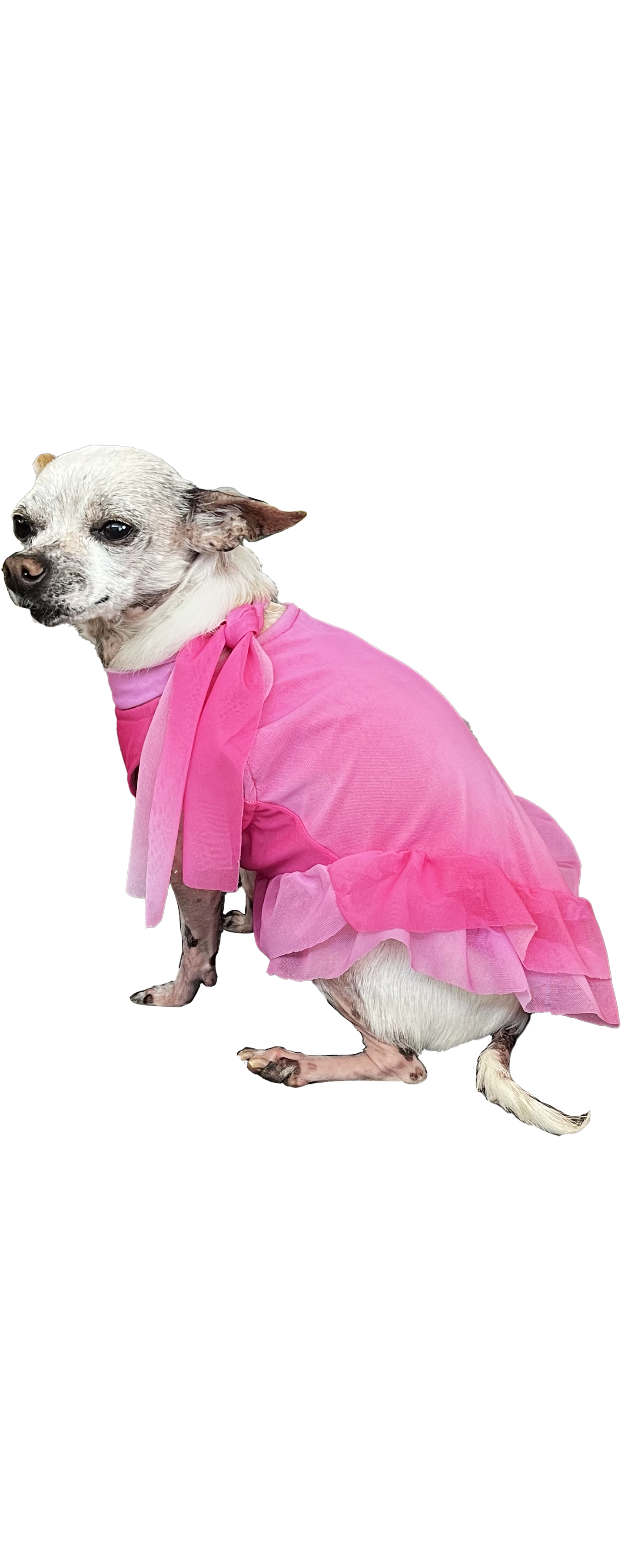 BELLA DOG DRESS- Pink