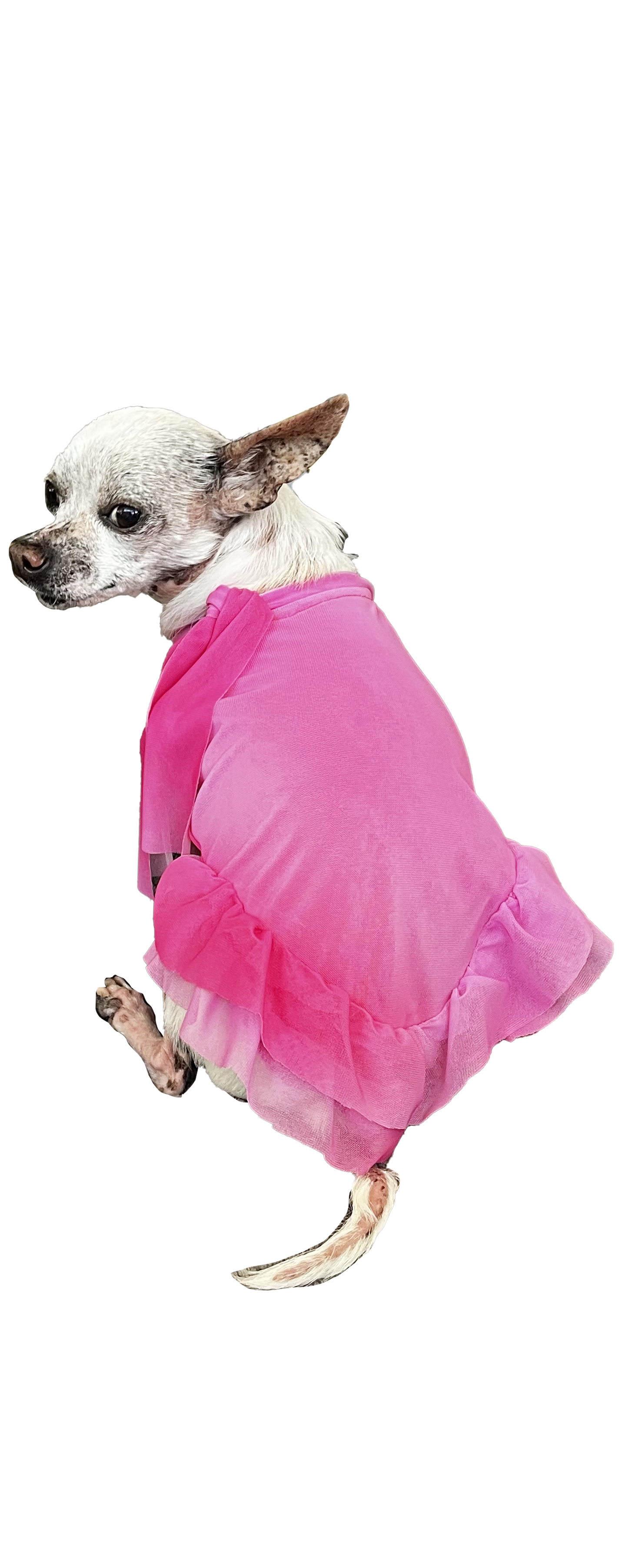 BELLA DOG DRESS- Pink