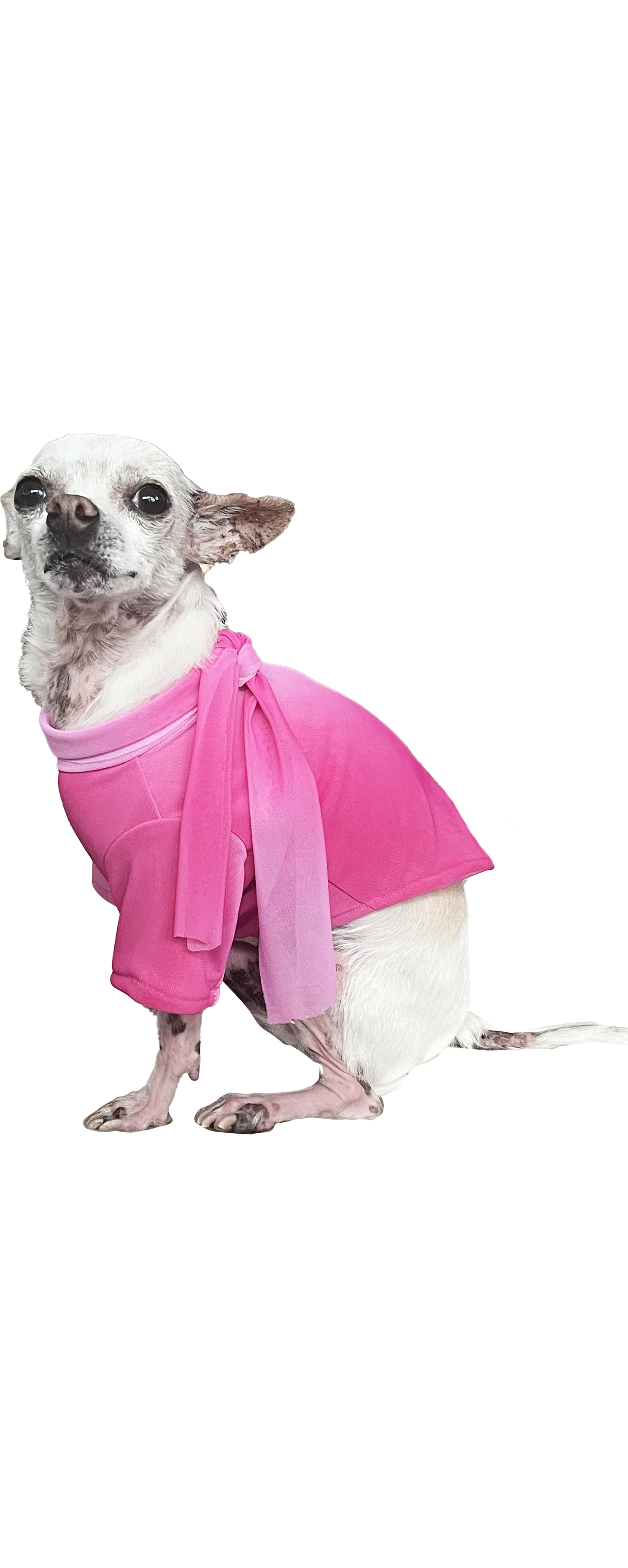 BELLA  DOG TEE + SCARF - Pink