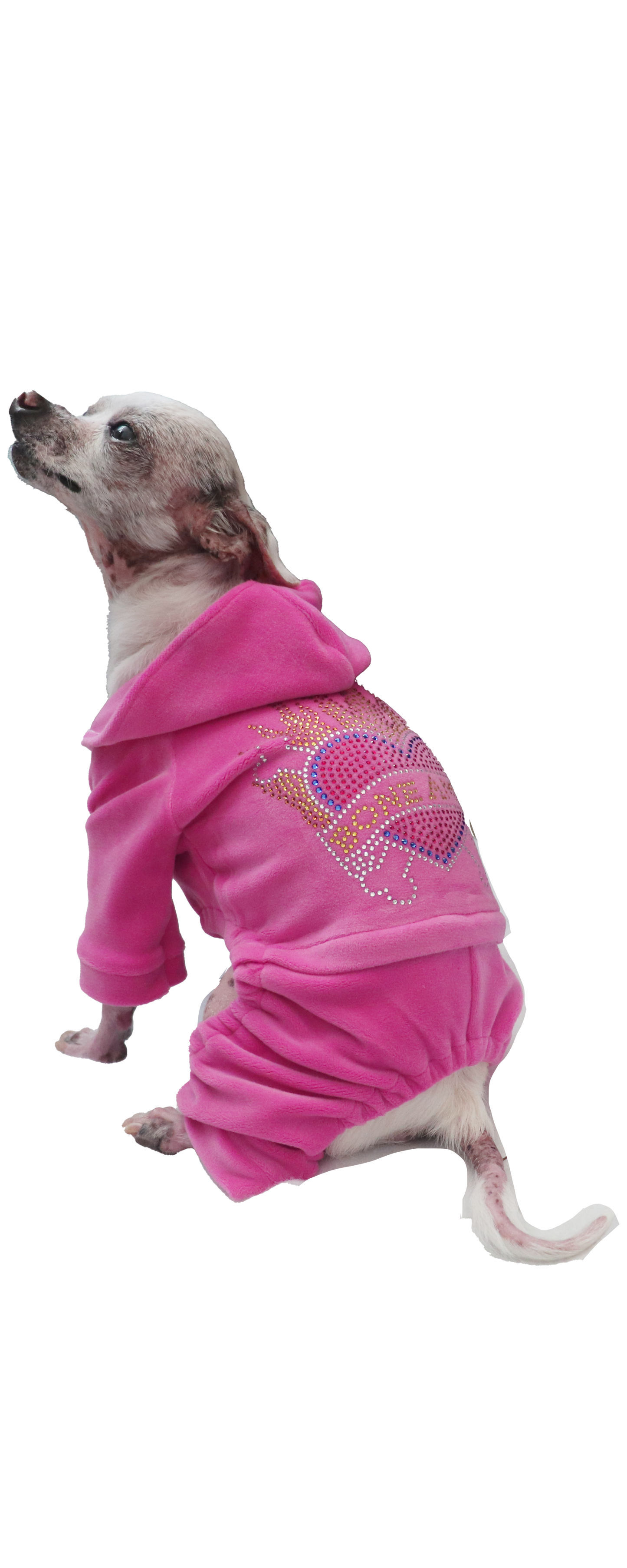 The BONE AMIS Dog Tracksuit- Pink